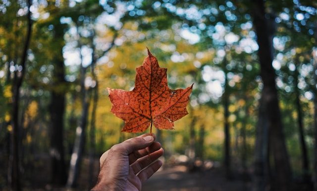 Common Wealth raises $12m CAD to expand retirement access Common Wealth raises $12m CAD to expand retirement access