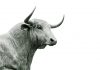 eToro launches AI-powered app store for investors