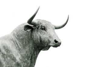 eToro launches AI-powered app store for investors
