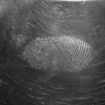 Fingerprint