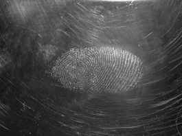 Fingerprint