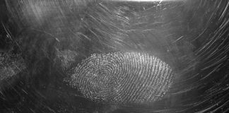 Fingerprint