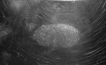 Fingerprint upgrades fraud detection with AI scoring Fingerprint