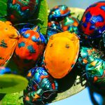 Bug Bounty Switzerland closes CHF 12m Series A round