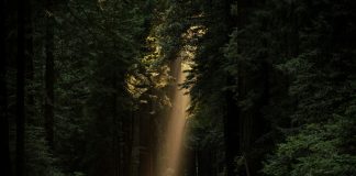 FINEOS wins MAIB contract for claims platform overhaul