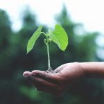 Openly, a tech-enabled homeowners insurance provider, has secured a growth investment round led by existing investors Eden Global Partners, Advance Venture Partners and Gradient, with strategic participation from Allianz X.