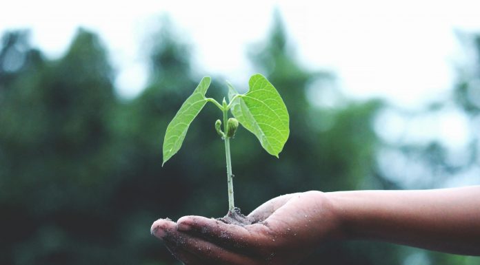Openly, a tech-enabled homeowners insurance provider, has secured a growth investment round led by existing investors Eden Global Partners, Advance Venture Partners and Gradient, with strategic participation from Allianz X.
