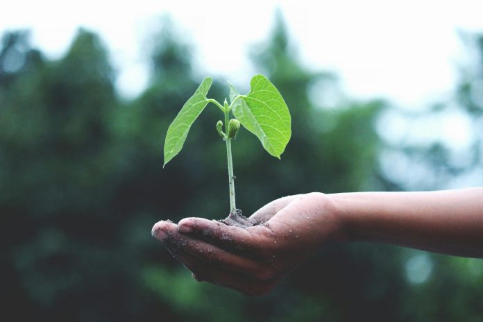 Openly, a tech-enabled homeowners insurance provider, has secured a growth investment round led by existing investors Eden Global Partners, Advance Venture Partners and Gradient, with strategic participation from Allianz X.