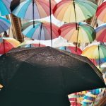 Canopy Connect has launched a new sharing path feature for its Insurance Intake Platform, designed to give insurance prospects more flexibility in how they share their insurance information.