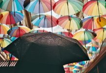 Canopy Connect has launched a new sharing path feature for its Insurance Intake Platform, designed to give insurance prospects more flexibility in how they share their insurance information.