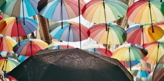 Canopy Connect has launched a new sharing path feature for its Insurance Intake Platform, designed to give insurance prospects more flexibility in how they share their insurance information.