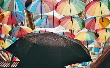 Canopy Connect has launched a new sharing path feature for its Insurance Intake Platform, designed to give insurance prospects more flexibility in how they share their insurance information.