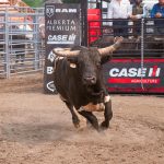 Global FinTech funding continued its strong surge over the past two weeks, with approximately $2.17bn raised across 23 deals, as cybersecurity firms saw major deals come to fruition.