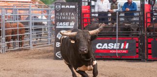 Global FinTech funding continued its strong surge over the past two weeks, with approximately $2.17bn raised across 23 deals, as cybersecurity firms saw major deals come to fruition.