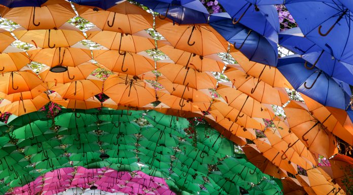 COVU launches AI-native operating system for insurance distribution COVU has launched COVU OS, a new AI-native operating layer designed to transform how insurance agencies manage service requests and operational workflows.