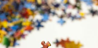 Brokerslink, a global insurance broking network, has added Vantel, a Sweden-based InsurTech, as a specialist affiliate.