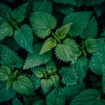 Allianz Turkiye, a multinational insurer, has selected the Nettle platform to support its commercial property risk engineering operations.