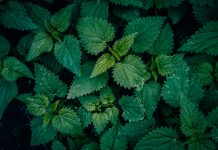 Allianz Turkiye, a multinational insurer, has selected the Nettle platform to support its commercial property risk engineering operations.
