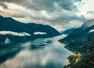 Nordic banks turn to CaaS to fight rising fraud Nordic banks turn to CaaS to fight rising fraud