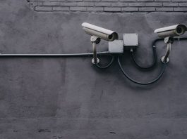 LDC invests in Daintta to boost tech services growth
