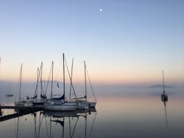 Seapoint raises €7.5m seed to build founder finance hub