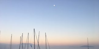 Seapoint raises €7.5m seed to build founder finance hub