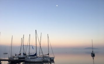 Seapoint raises €7.5m seed to build founder finance hub