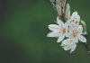 Zinnia launches digital in-force annuity servicing tool