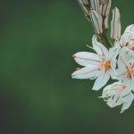 Zinnia launches digital in-force annuity servicing tool