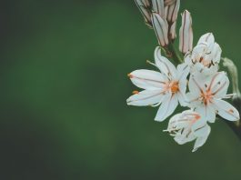 Zinnia launches digital in-force annuity servicing tool