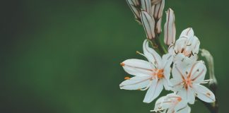 Zinnia launches digital in-force annuity servicing tool