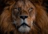 3 FinTech deals account for lion share of funding this week - See this week's 14 deals here