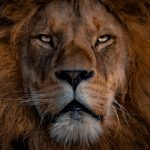 3 FinTech deals account for lion share of funding this week - See this week's 14 deals here