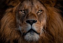 3 FinTech deals account for lion share of funding this week - See this week's 14 deals here