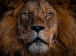 3 FinTech deals account for lion share of funding this week - See this week's 14 deals here