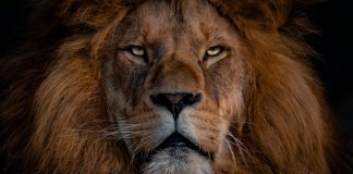3 FinTech deals account for lion share of funding this week - See this week's 14 deals here
