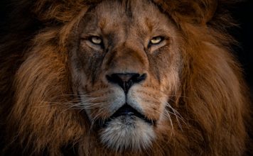 3 FinTech deals account for lion share of funding this week - See this week's 14 deals here