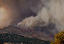 ZestyAI’s Z-FIRE powers Windward’s California move ZestyAI's Z-FIRE powers Windward's California move
