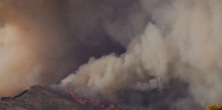 ZestyAI's Z-FIRE powers Windward's California move