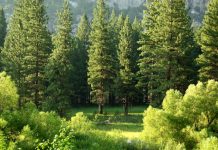 ZestyAI's ZORRO Discover powers NRDC climate research