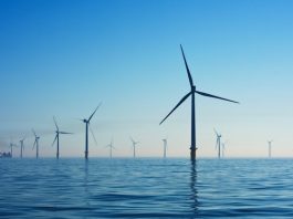 Climate risk and CMAs: What investors need to know