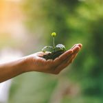 mea Platform, an AI-native InsurTech company, has appointed marketing agency Converge to lead an integrated growth and brand strategy programme following its recent $50m funding round.