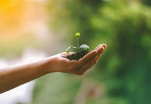 mea Platform, an AI-native InsurTech company, has appointed marketing agency Converge to lead an integrated growth and brand strategy programme following its recent $50m funding round.