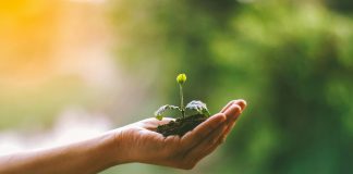 mea Platform, an AI-native InsurTech company, has appointed marketing agency Converge to lead an integrated growth and brand strategy programme following its recent $50m funding round.