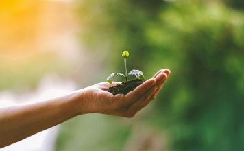mea Platform, an AI-native InsurTech company, has appointed marketing agency Converge to lead an integrated growth and brand strategy programme following its recent $50m funding round.