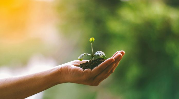 mea taps Converge to drive insurance AI growth mea Platform, an AI-native InsurTech company, has appointed marketing agency Converge to lead an integrated growth and brand strategy programme following its recent $50m funding round.