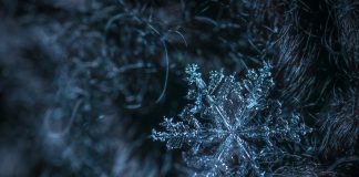 ManageMy, an InsurTech platform focused on customer and agent engagement for insurers, has launched a new integration with Snowflake aimed at giving carriers direct access to operational data across policy, billing, claims and distribution systems.