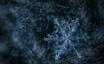 ManageMy, an InsurTech platform focused on customer and agent engagement for insurers, has launched a new integration with Snowflake aimed at giving carriers direct access to operational data across policy, billing, claims and distribution systems.