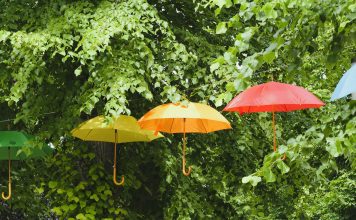 Mercury Insurance, a leading provider of auto insurance, and Olympus Insurance, a Florida-focused homeowners insurer, have announced a new partnership designed to broaden access to bundled auto and homeowners insurance across Florida.