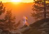 Corgi has secured the coveted status of unicorn after raising $160m in Series B funding at a $1.3bn valuation.
